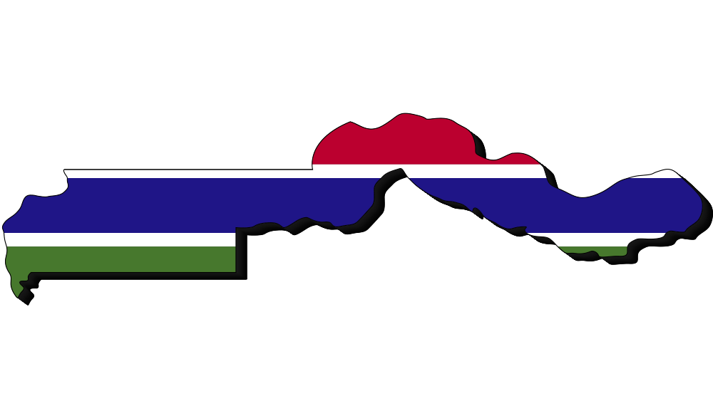 The Gambia flag